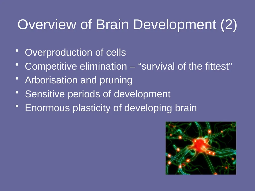 Personality Disorders Dr Andrea Williams - slide 36 of 54