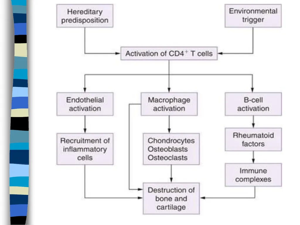 RHEUMATOID ARTHRITIS Doç.Dr.Demet Tekdöş - slide 17 of 31