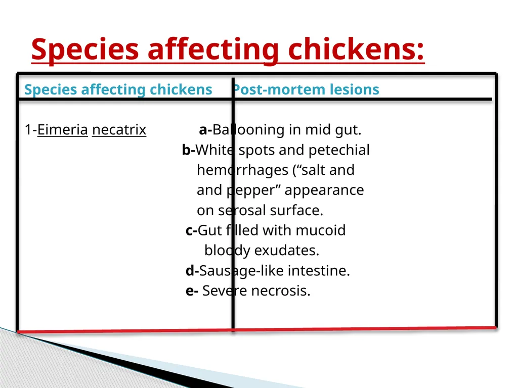 poultry diseases 2 fourth stage Dr.Harith Abdulla - slide 4 of 9