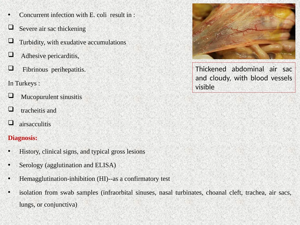 Unit-5 Dr. Anil Kumar 4th Professional Asst. - slide 6 of 13