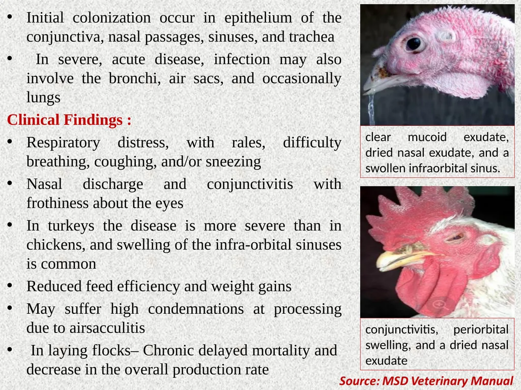 Unit-5 Dr. Anil Kumar 4th Professional Asst. - slide 5 of 13