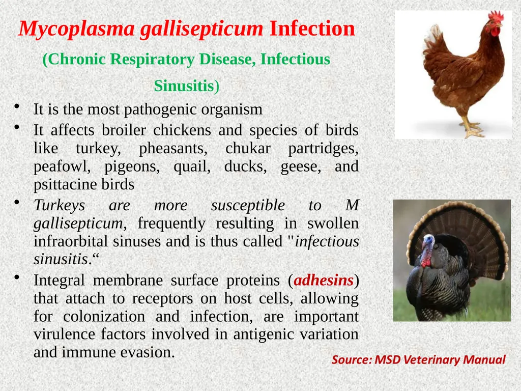 Unit-5 Dr. Anil Kumar 4th Professional Asst. - slide 3 of 13