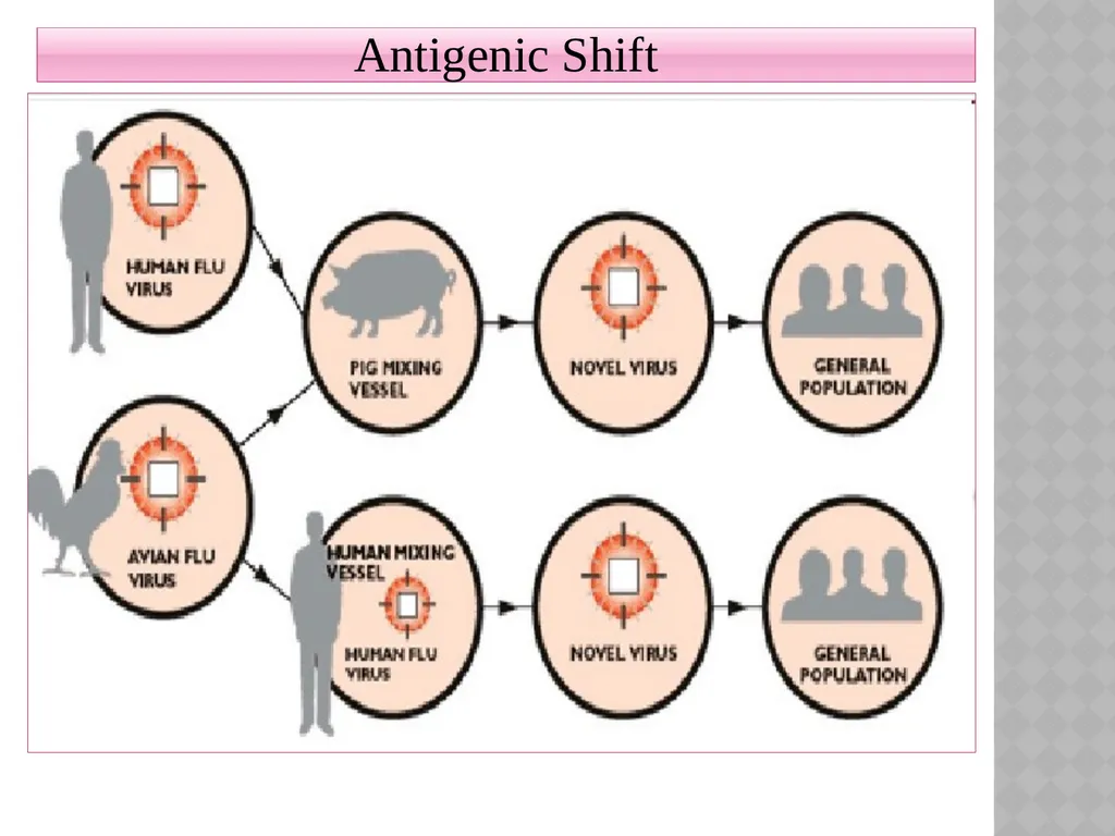 ‘Veterinary Epidemiology & Zoonoses’ VPH-321 - slide 9 of 18