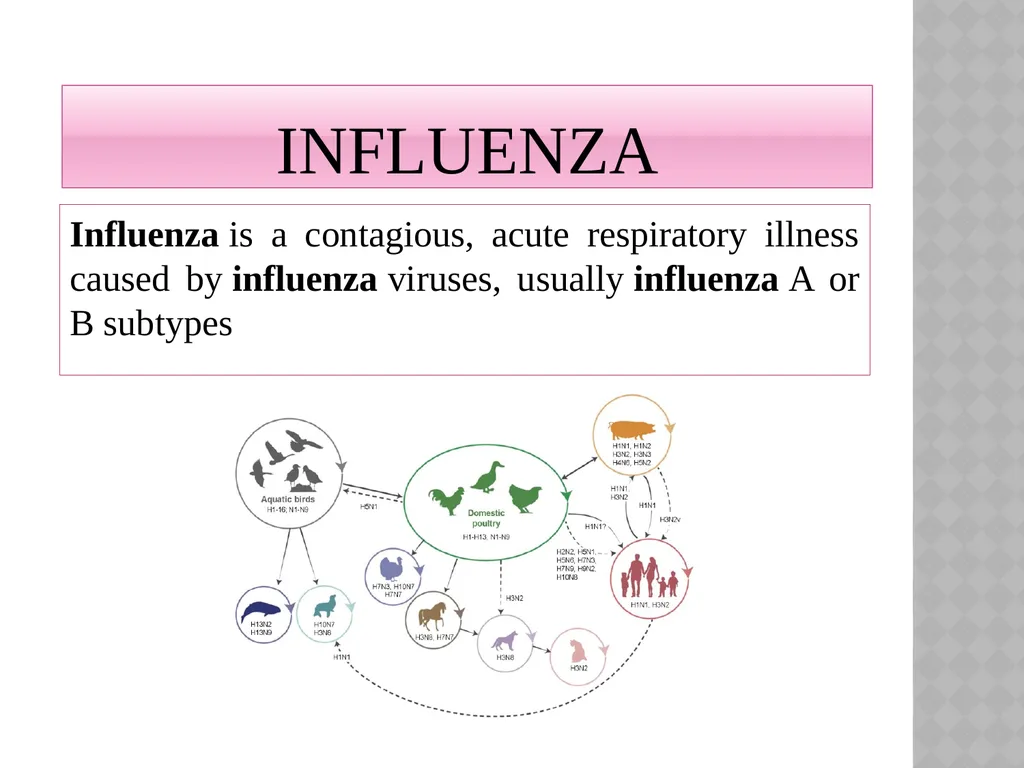 ‘Veterinary Epidemiology & Zoonoses’ VPH-321 - slide 2 of 18