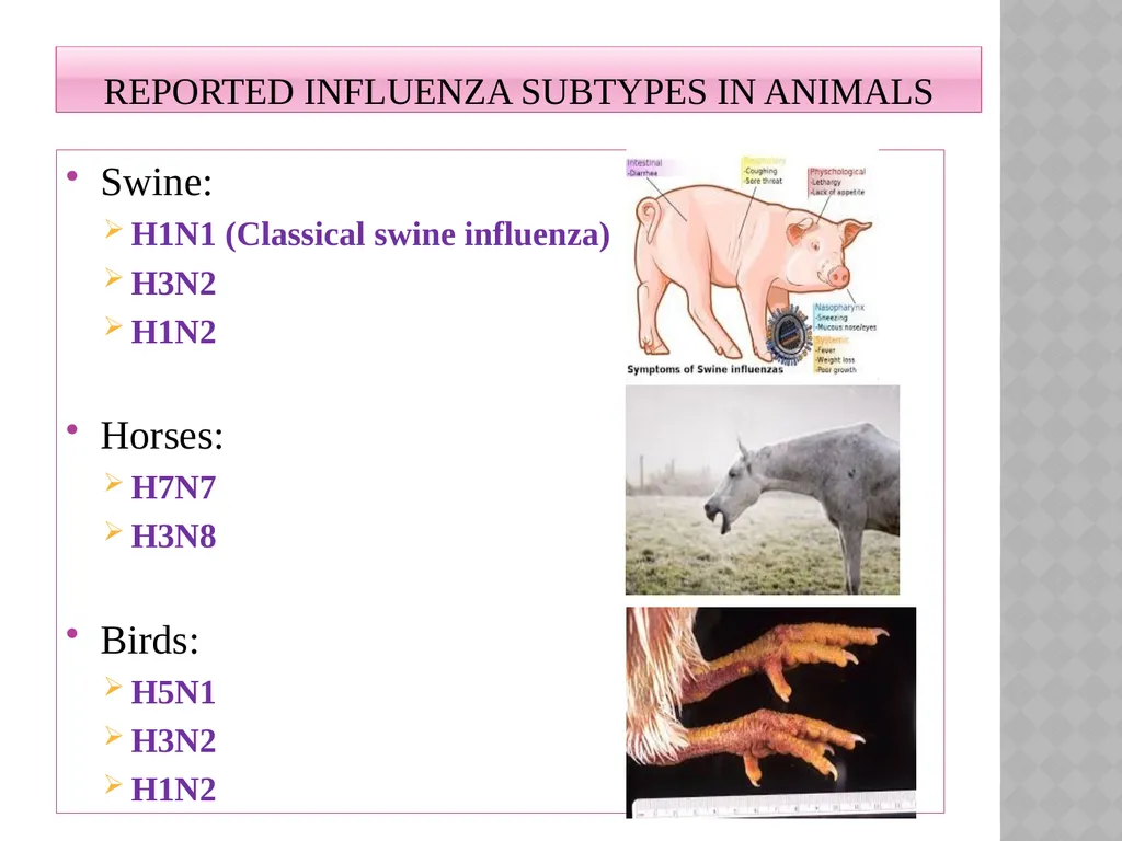 ‘Veterinary Epidemiology & Zoonoses’ VPH-321 - slide 7 of 18