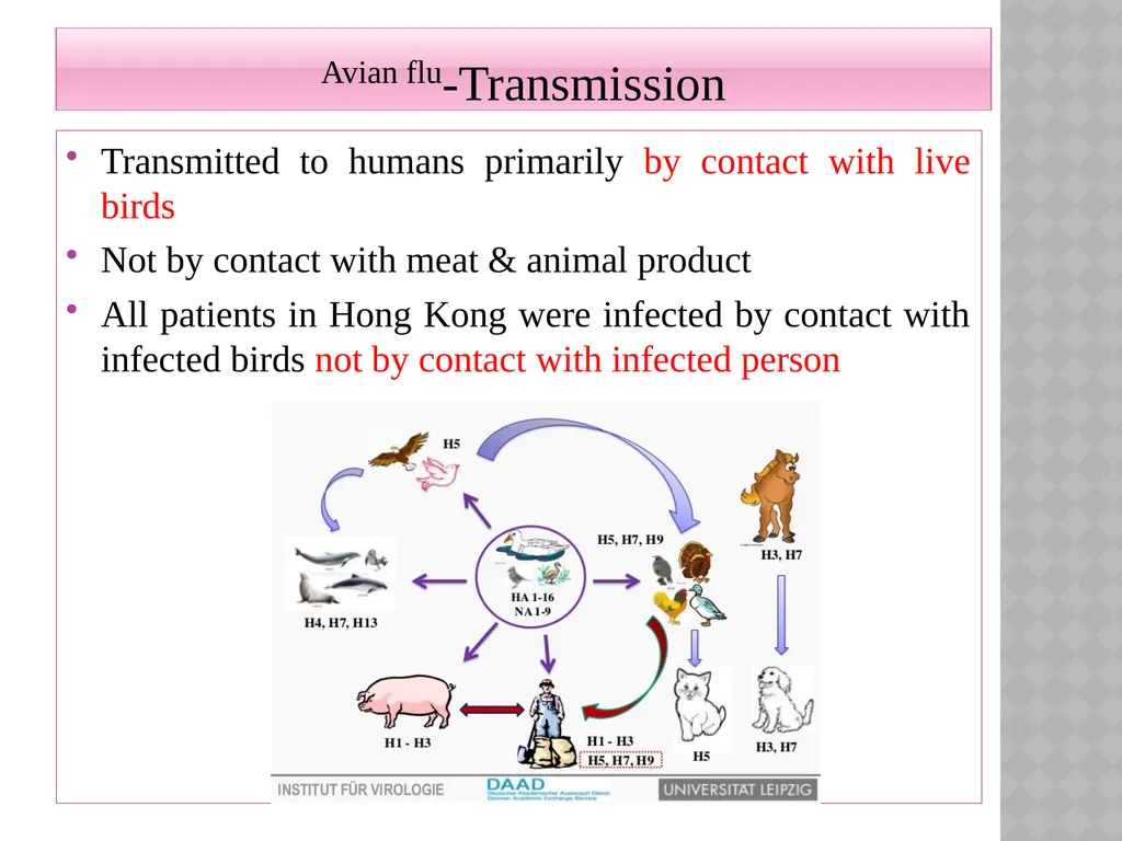 ‘Veterinary Epidemiology & Zoonoses’ VPH-321 - slide 14 of 18