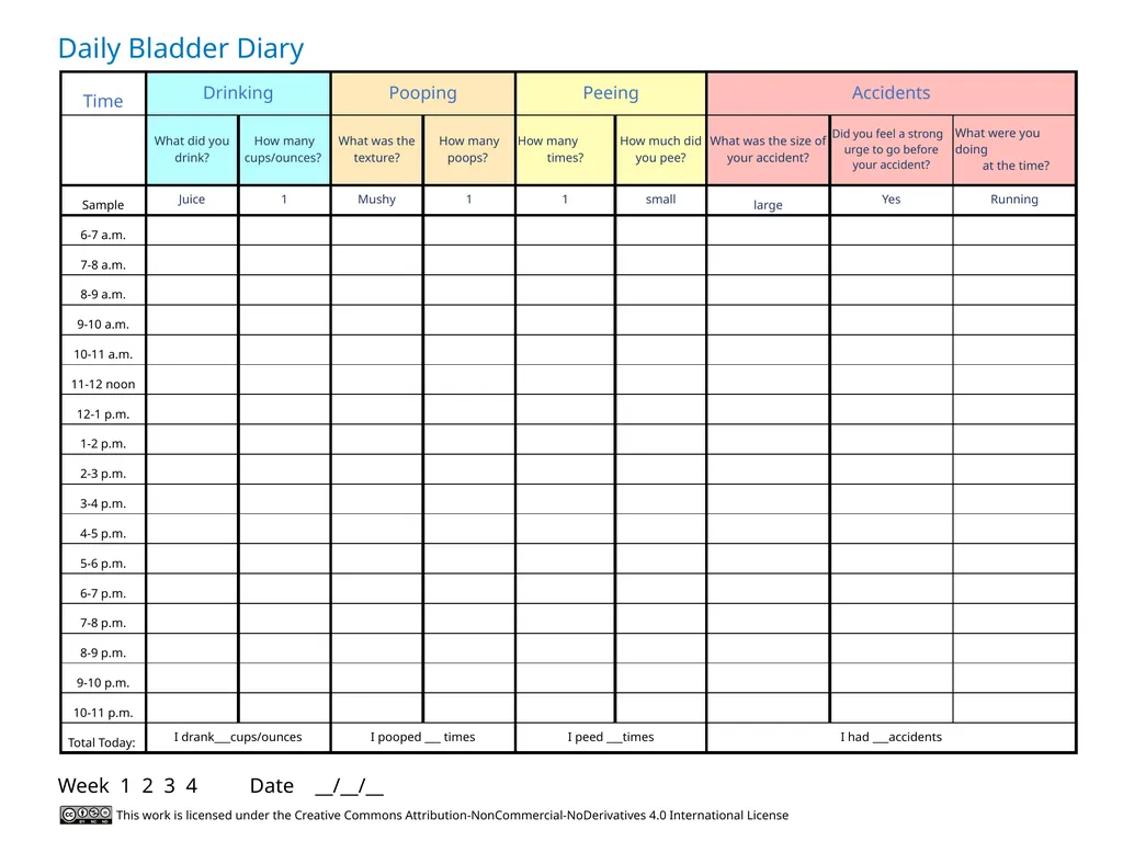 Daily Bladder Diary What is a Bladder Diary? This - slide 2 of 2