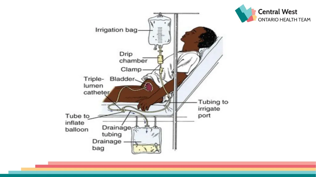 Created by: Zankhana Patel, RN, MSN William - slide 6 of 14