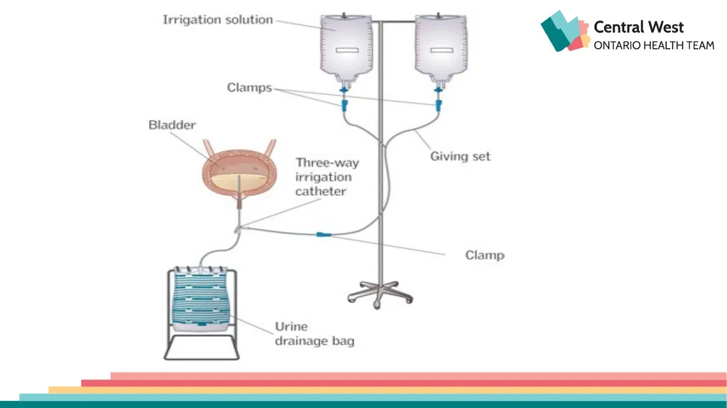 Created by: Zankhana Patel, RN, MSN William - slide 8 of 14