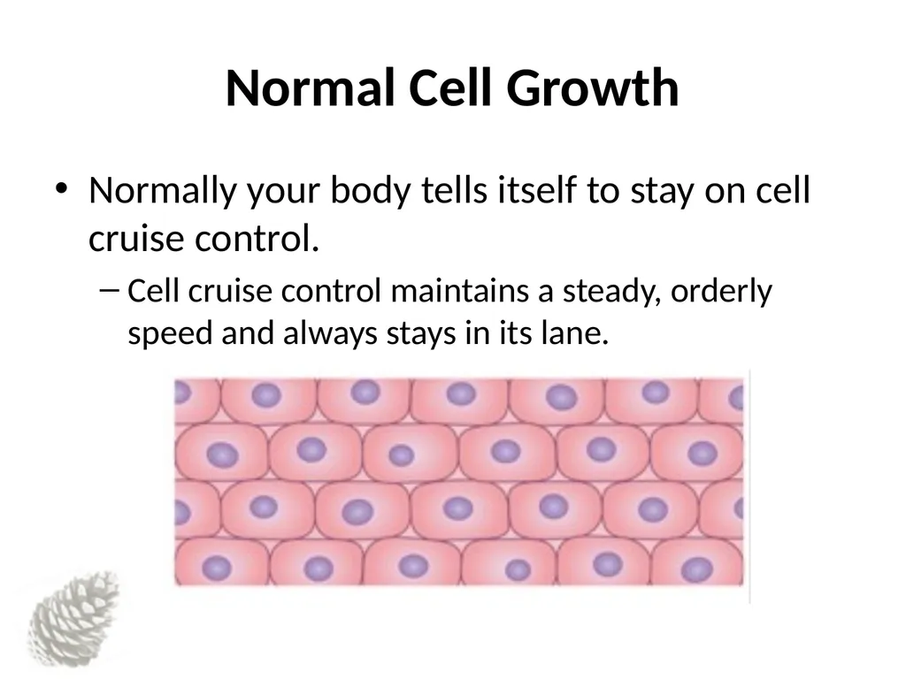 Understanding Cancer Basics Understanding Cancer - slide 6 of 17