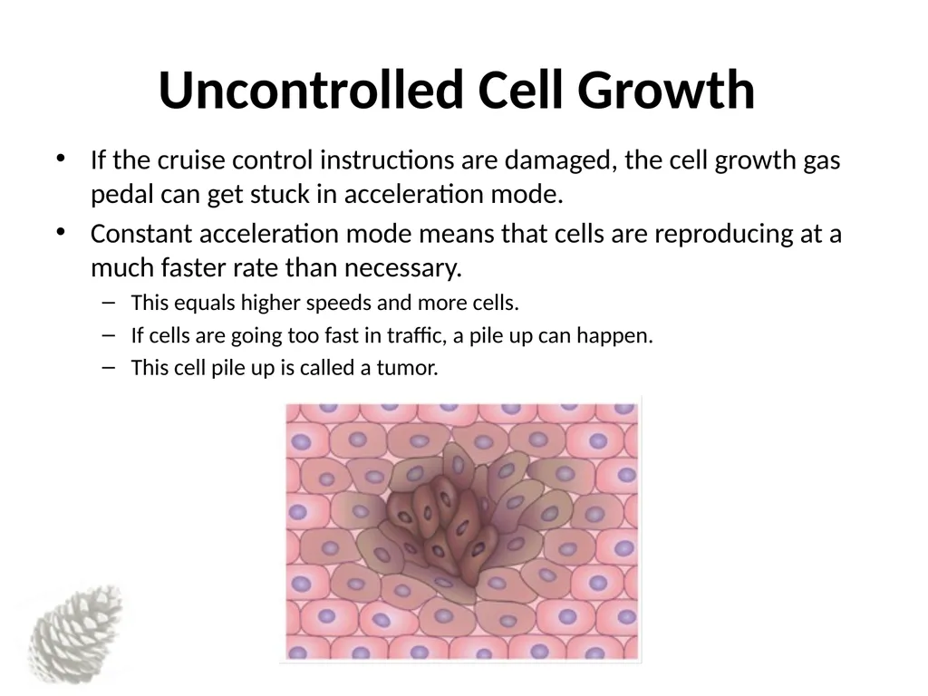 Understanding Cancer Basics Understanding Cancer - slide 7 of 17