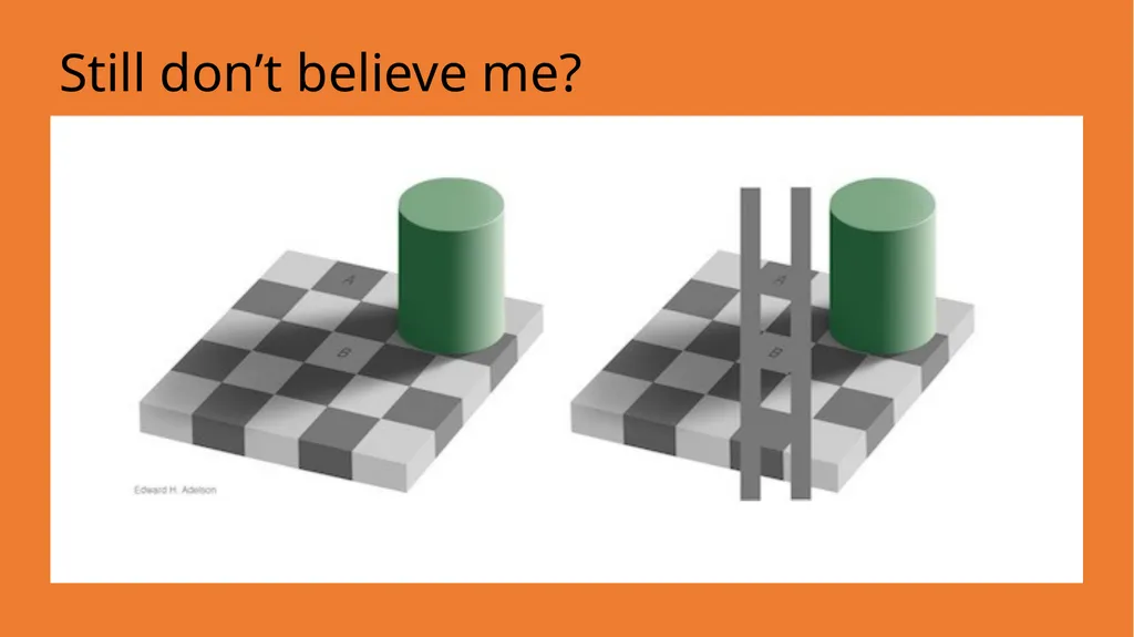 Can you trust your brain? Lets delve into the - slide 6 of 15