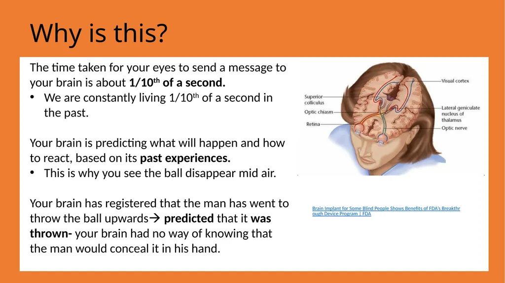 Can you trust your brain? Lets delve into the - slide 14 of 15