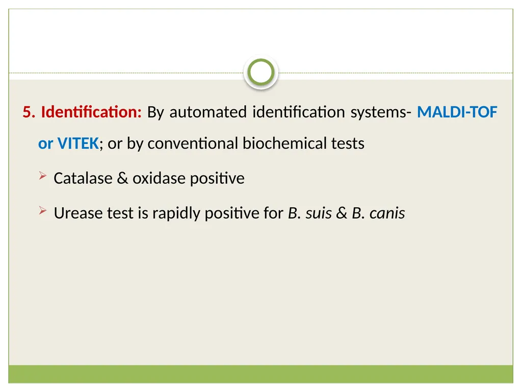 Brucellosis Introduction Brucella is an obligate - slide 17 of 29