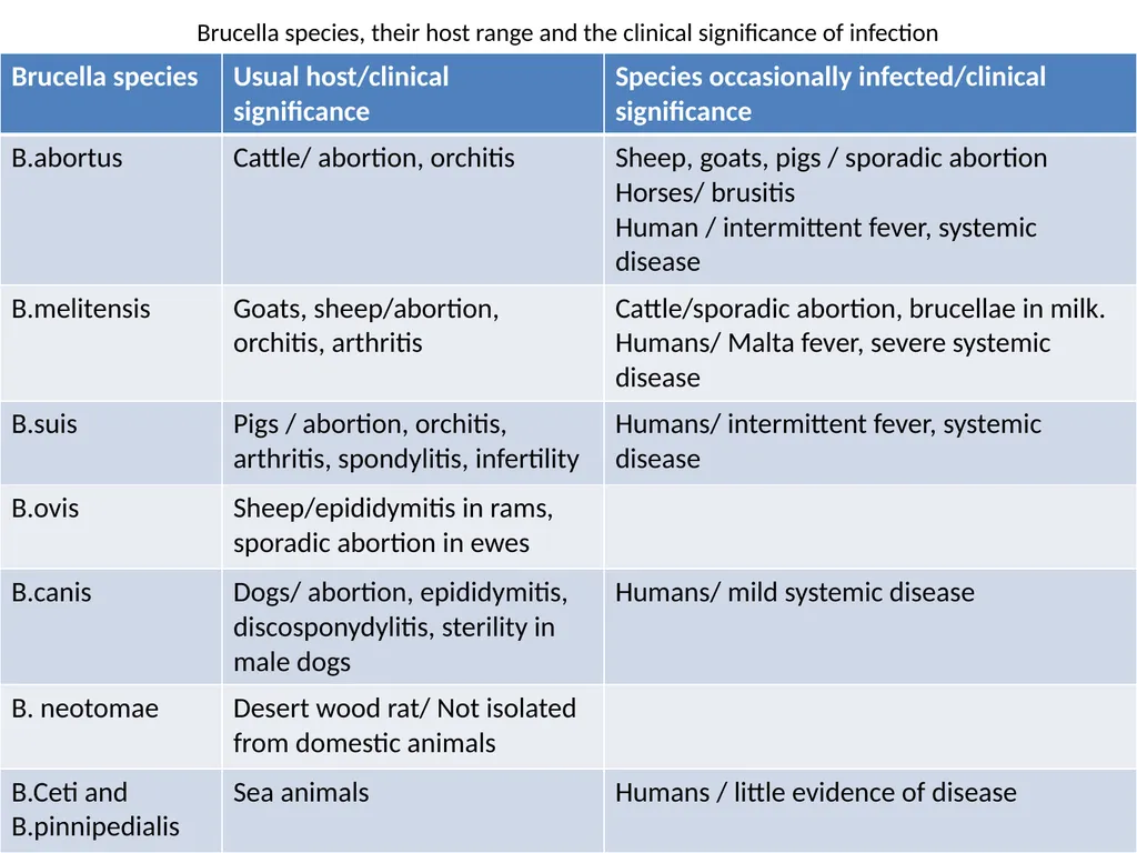 Brucella Brucellosis was first described by - slide 2 of 17