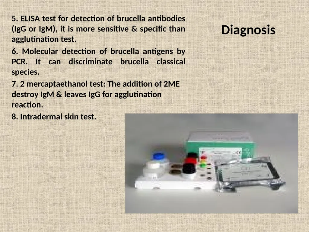Brucella Brucellosis was first described by - slide 15 of 17