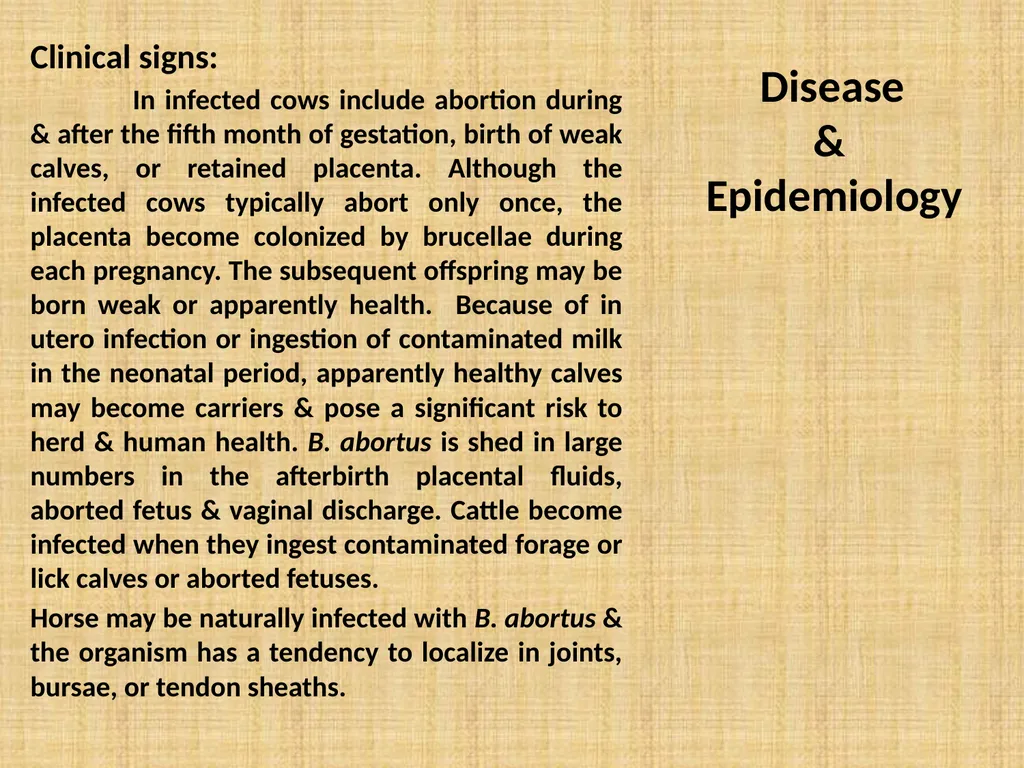 Brucella Brucellosis was first described by - slide 6 of 17