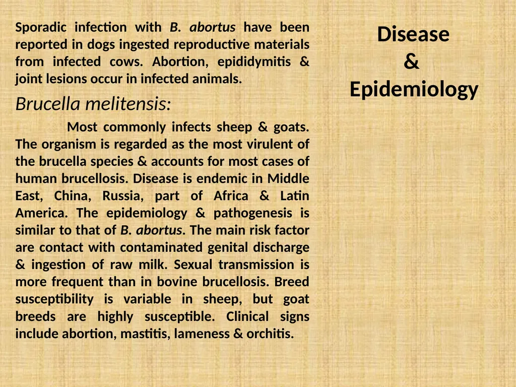 Brucella Brucellosis was first described by - slide 7 of 17