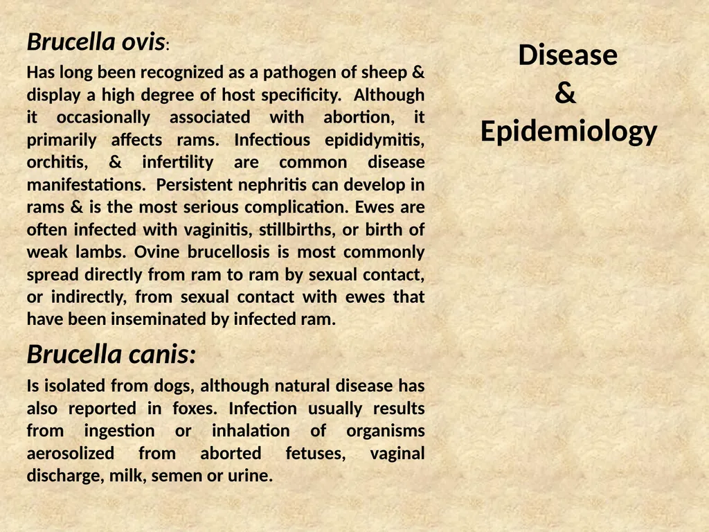 Brucella Brucellosis was first described by - slide 8 of 17