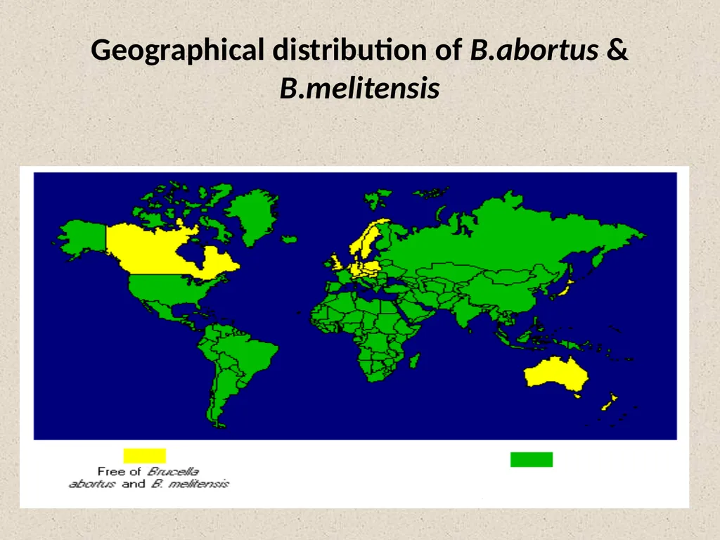 Brucella Brucellosis was first described by - slide 10 of 17