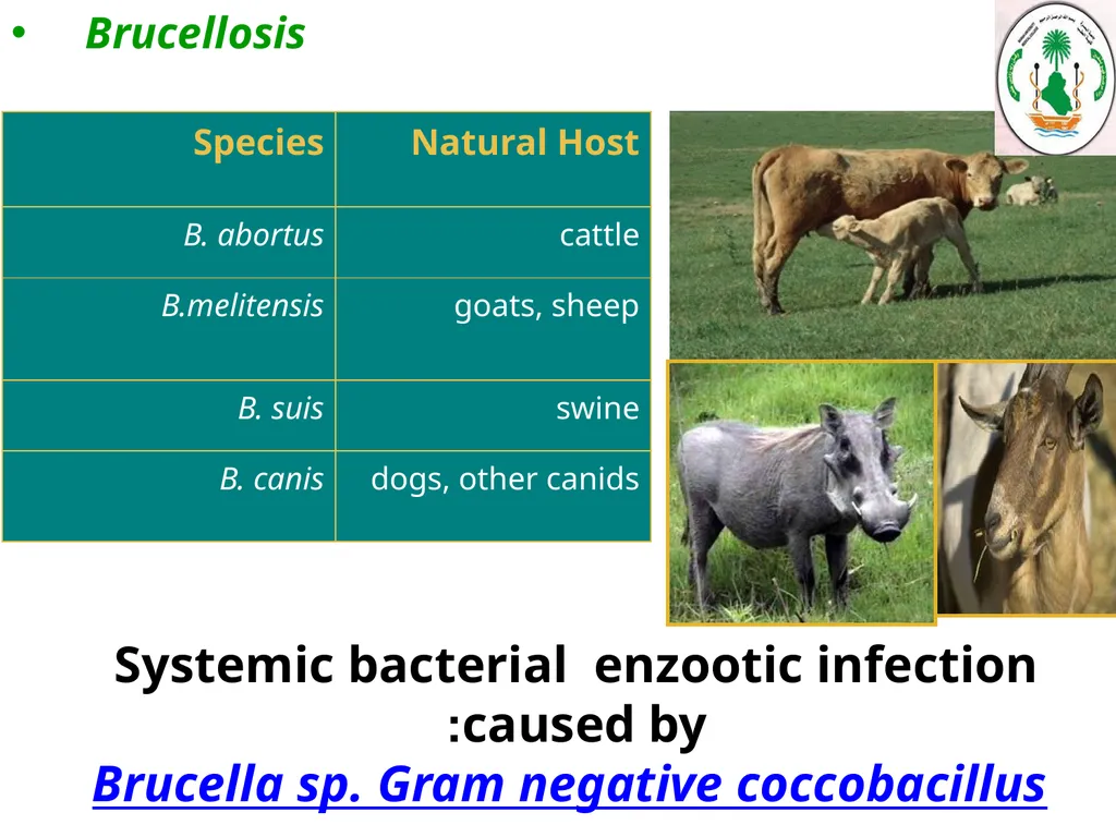 Learning objectives of Brucellosis lectures : - slide 3 of 21