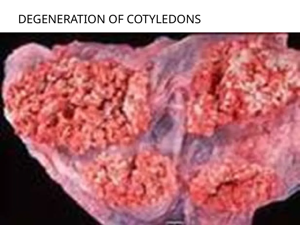Brucellosis in Cattle and Buffaloes in and around - slide 16 of 17