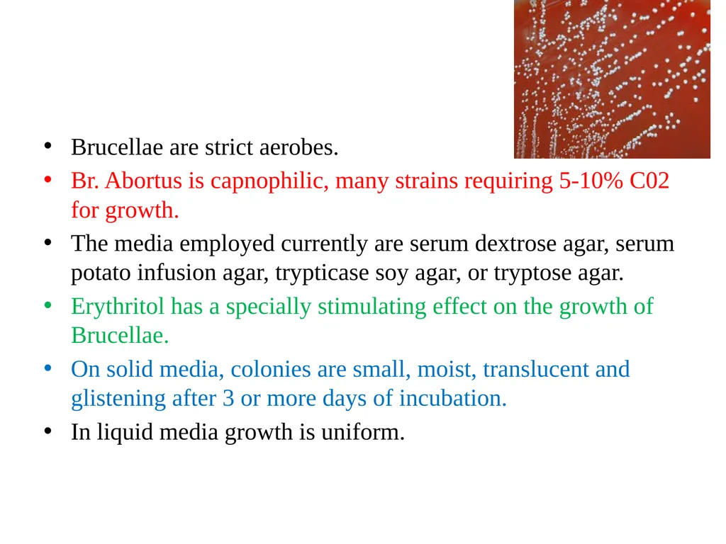 Brucellosis Dr. Bipin Kumar Assistant Professor - slide 4 of 13