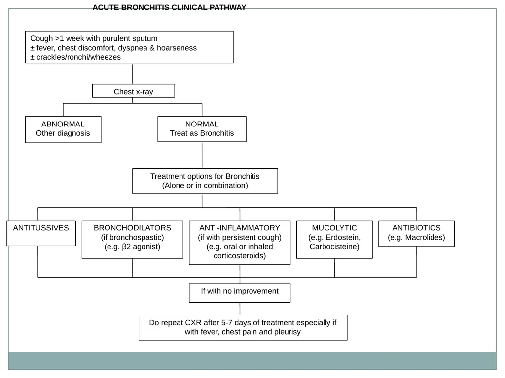 ACUTE BRONCHITIS CLINICAL PATHWAY CLINICAL - slide 5 of 9
