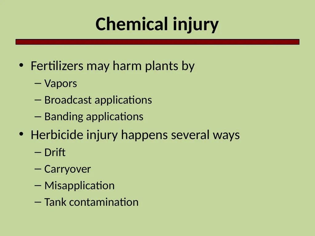 Introduction to Crop Injury Outline What is a - slide 10 of 14