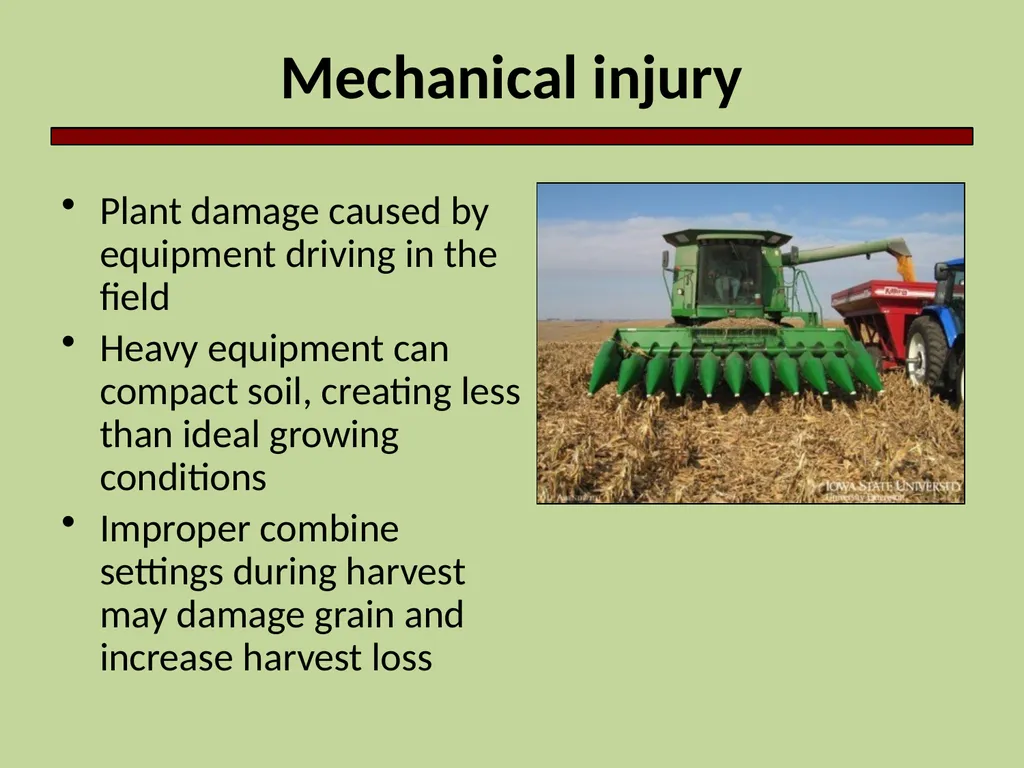 Introduction to Crop Injury Outline What is a - slide 12 of 14
