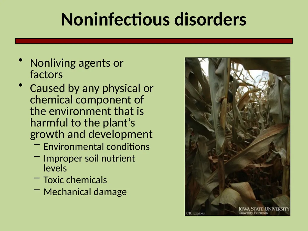 Introduction to Crop Injury Outline What is a - slide 3 of 14