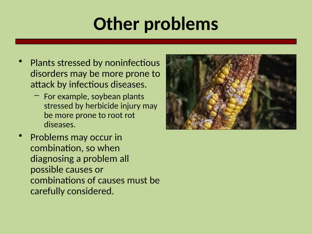 Introduction to Crop Injury Outline What is a - slide 13 of 14