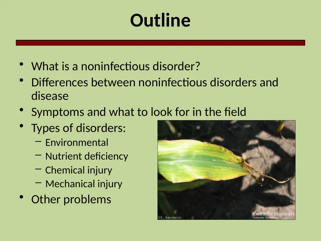 Introduction to Crop Injury Outline What is a - slide 2 of 14