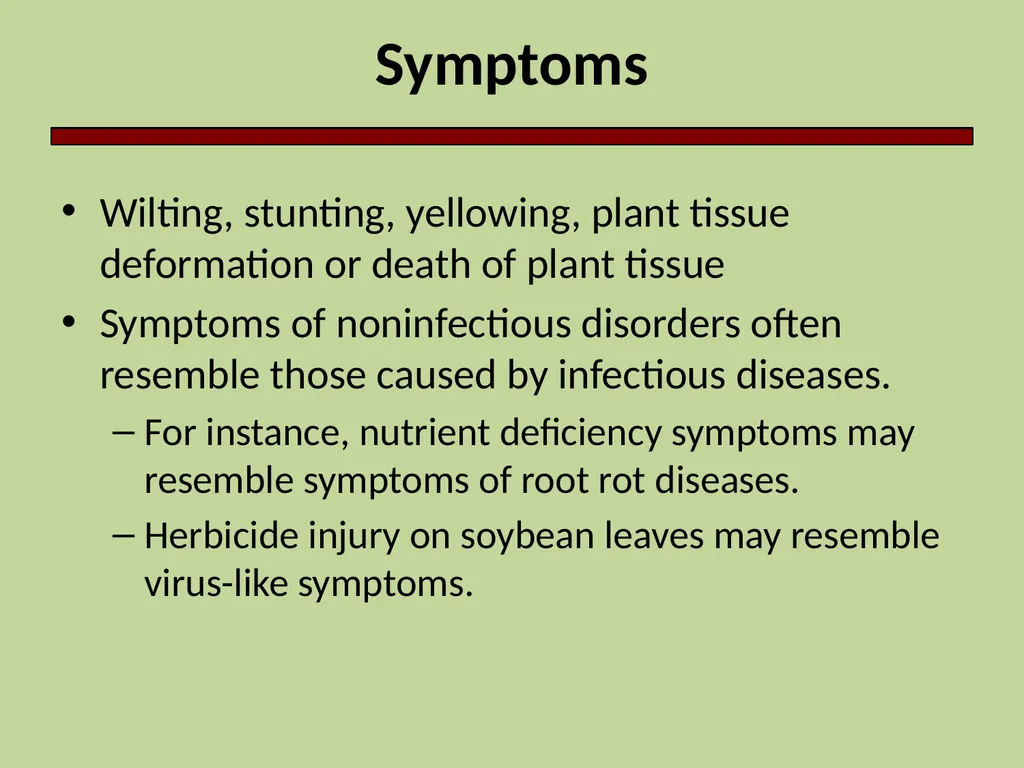 Introduction to Crop Injury Outline What is a - slide 5 of 14