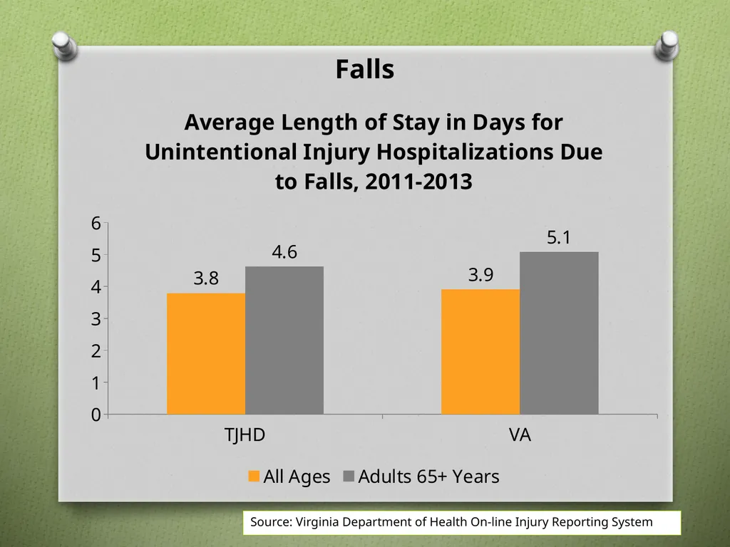 Unintentional Injury Injury Hospitalizations by - slide 9 of 13