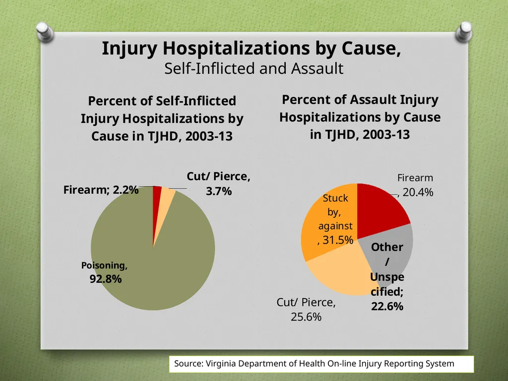 Unintentional Injury Injury Hospitalizations by - slide 5 of 13