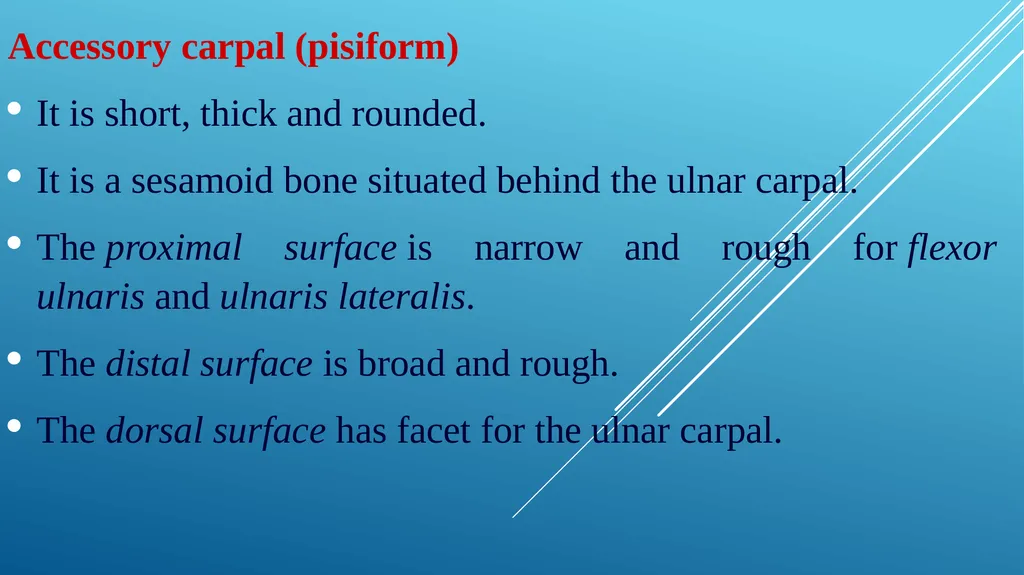 Van-601 unit-ii Comparative studies on carpal - slide 6 of 14