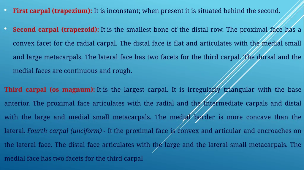 Van-601 unit-ii Comparative studies on carpal - slide 10 of 14