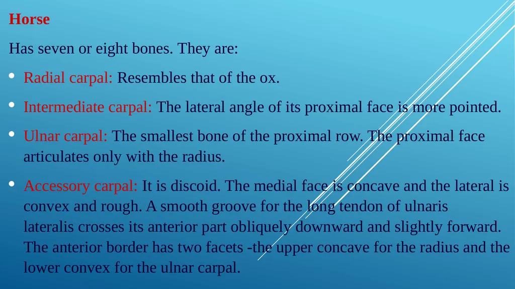 Van-601 unit-ii Comparative studies on carpal - slide 9 of 14