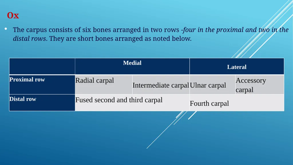 Van-601 unit-ii Comparative studies on carpal - slide 2 of 14