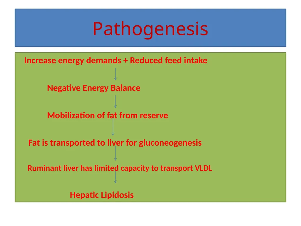 Fat Cow Syndrome Dr. Vivek Kr. Singh Assistant - slide 5 of 10