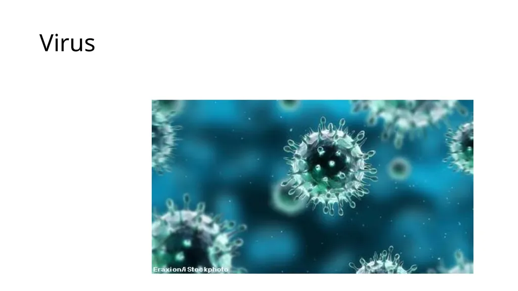 Chikungunya aedes mosquito Alpha virus Rash on - slide 4 of 8