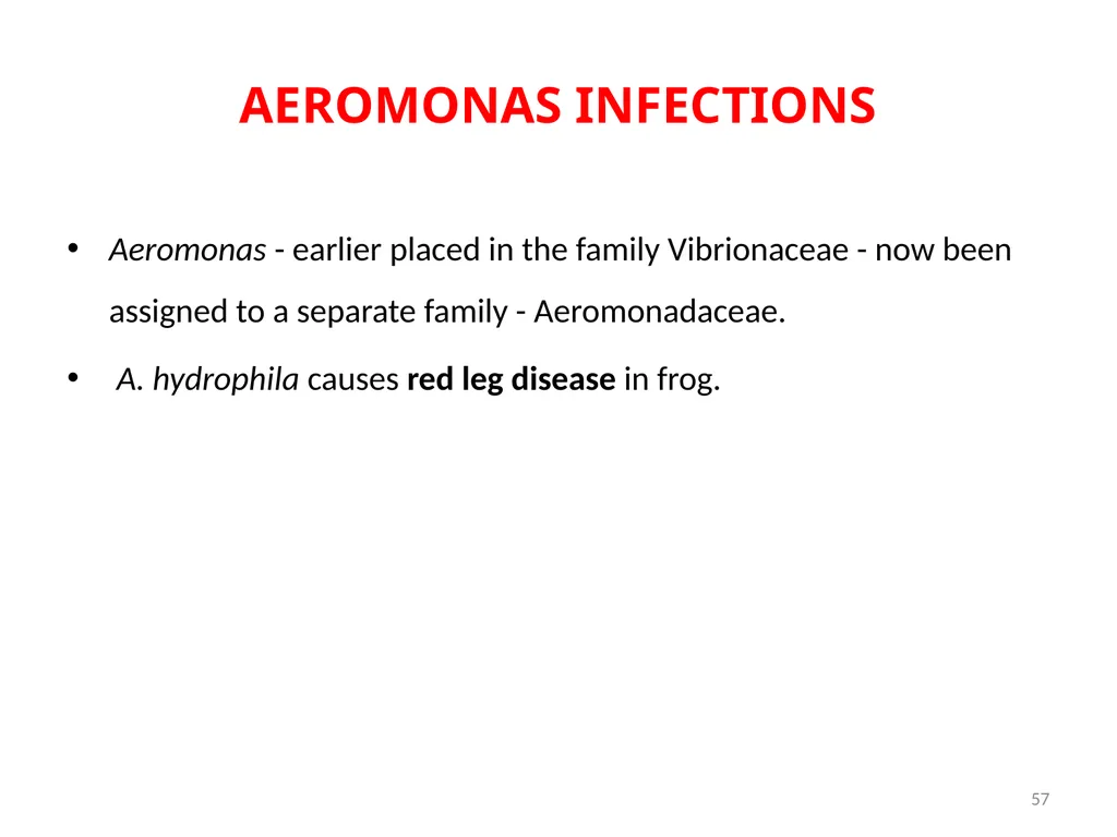 Cholera, Halophilic Vibrio and Aeromonas - slide 57 of 61