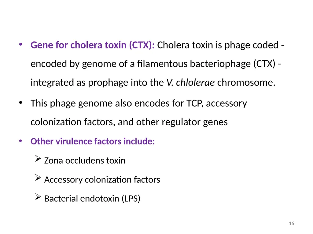 Cholera, Halophilic Vibrio and Aeromonas - slide 16 of 61