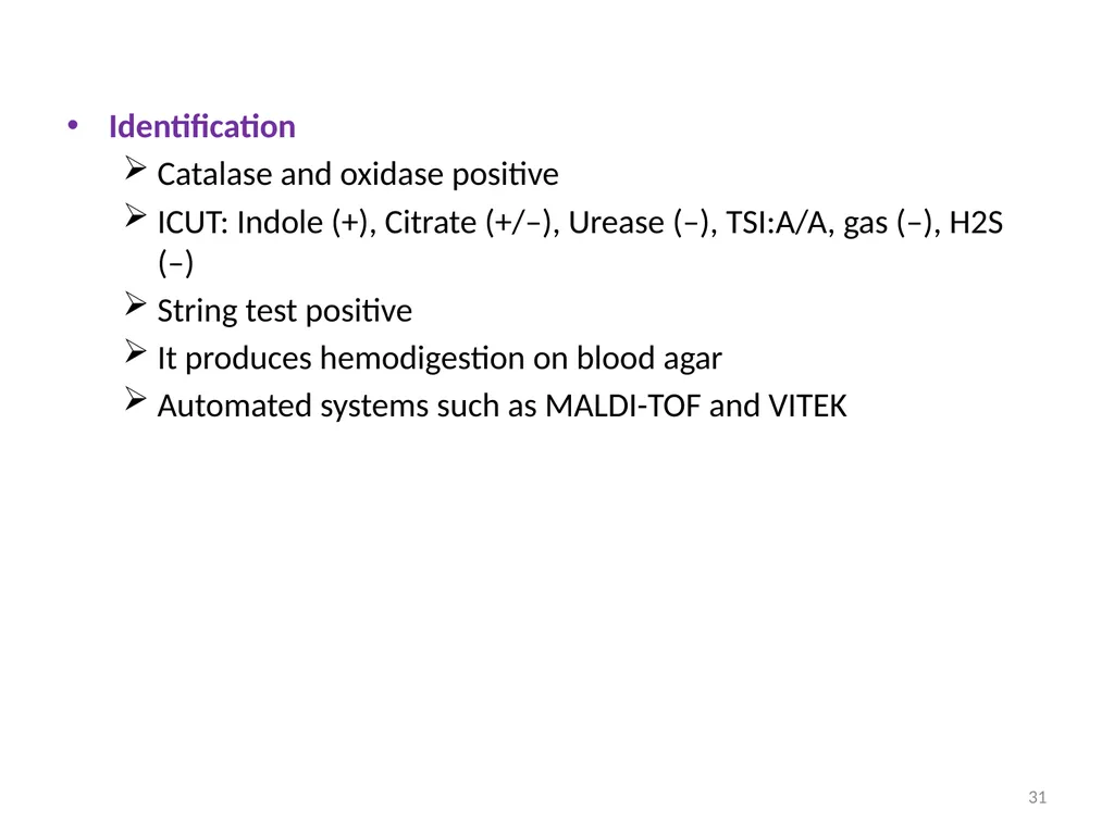 Cholera, Halophilic Vibrio and Aeromonas - slide 31 of 61