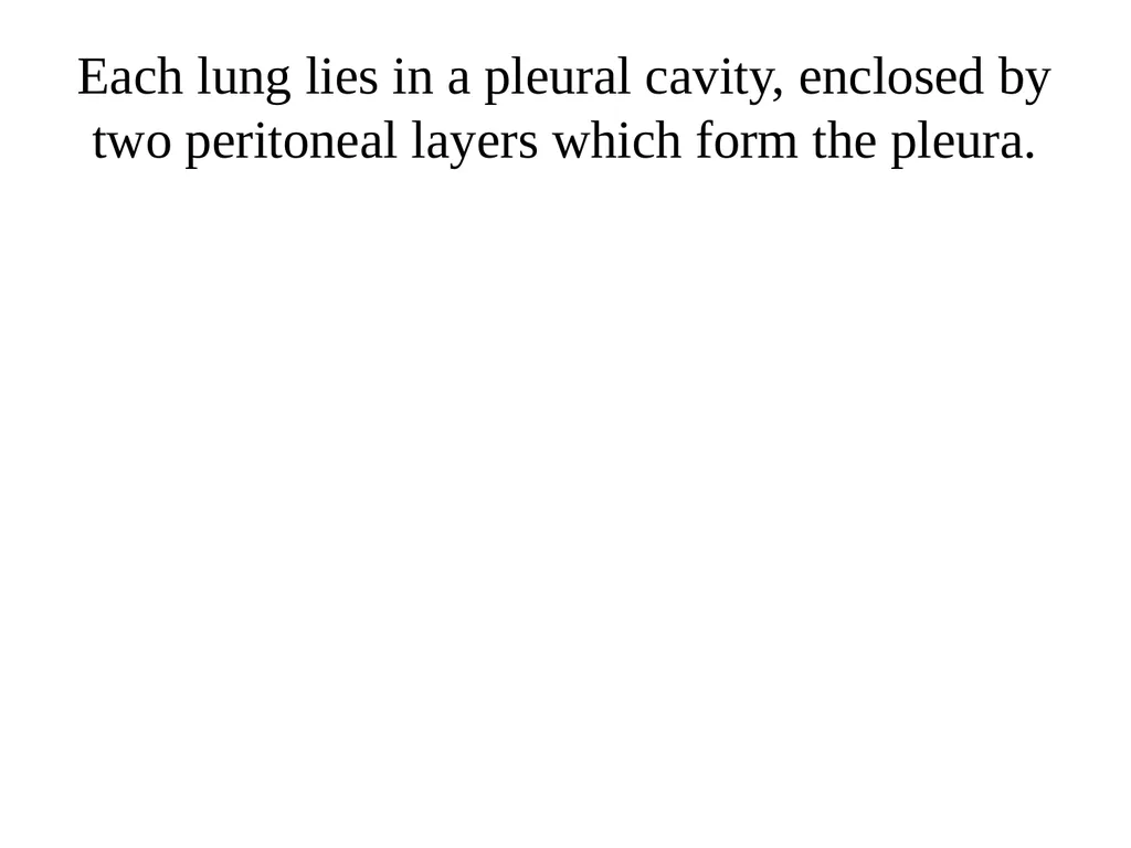 THE HEART The heart undergoes contraction - slide 54 of 60