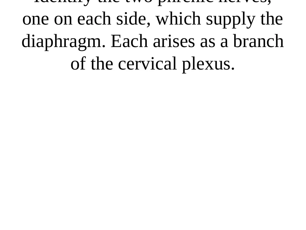 THE HEART The heart undergoes contraction - slide 56 of 60