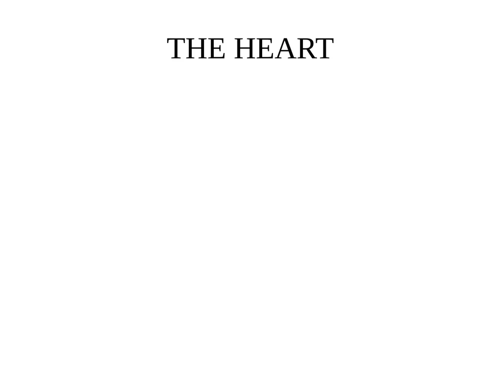 THE HEART The heart undergoes contraction - slide 1 of 60