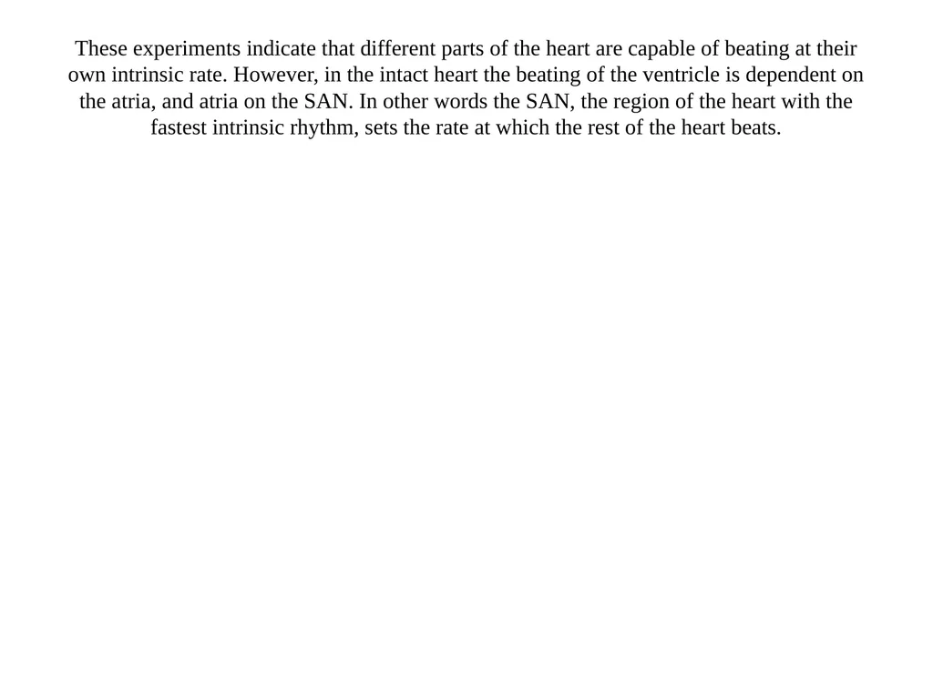THE HEART The heart undergoes contraction - slide 11 of 60