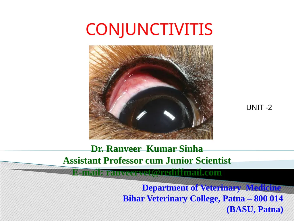 Department of Veterinary Medicine Bihar Veterinary - slide 1 of 18
